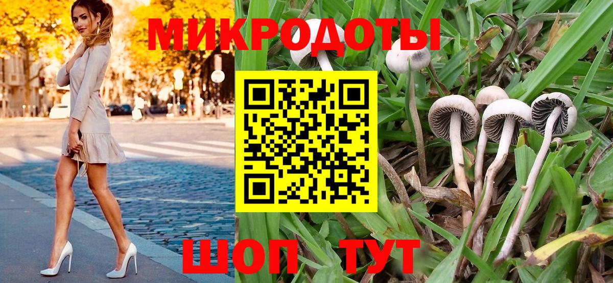Йошкар-Ола  Галлюциногенные грибы Psilocybine cubensis  Вход с VPN 