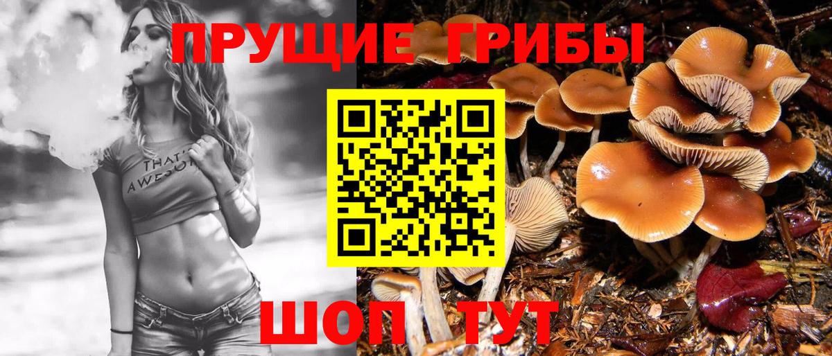 Галлюциногенные грибы прущие грибы Йошкар-Ола